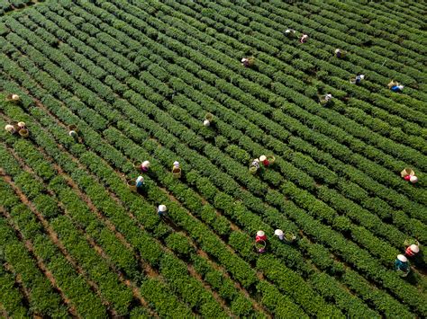 Business in 2026: Why Ethics Helps to Navigate Complexity