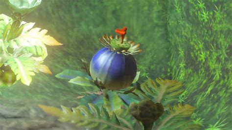 How to get Bomb Flowers in Zelda Tears of the Kingdom | Eurogamer.net