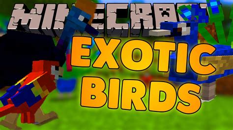 Image result for Minecraft Bird Mod