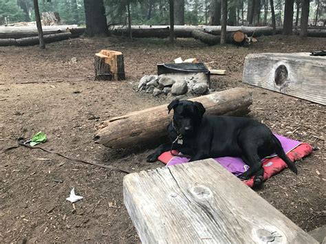 Thielsen View Campground in Umpqua National Forest, Oregon: Reviews and ...