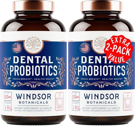 Top 10 Probiotic Supplements for Digestive & Gut Health