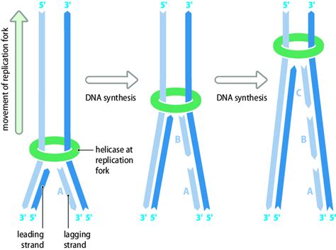 CMOS Electronic DNA Replication 的图像结果