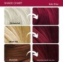 Paradyes Ammonia Free Semi-Permanent Hair Color 120gm jar only , Ruby ...