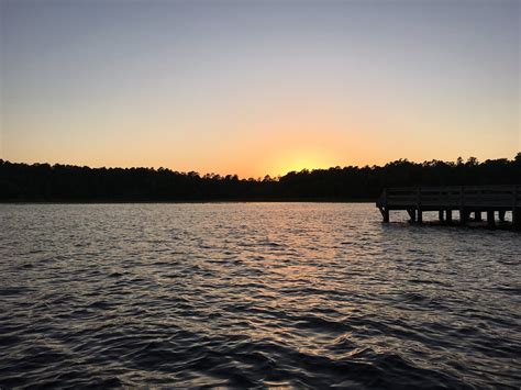Magnolia Tourism (2024): All You Need to Know Before You Go