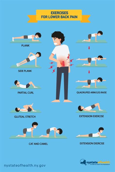 Lower Back Exercise 的图像结果