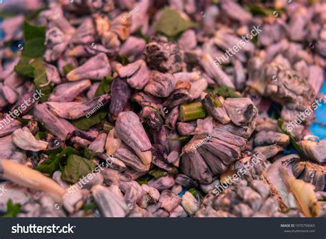 Corn Blue Fungus at Robert Doss blog