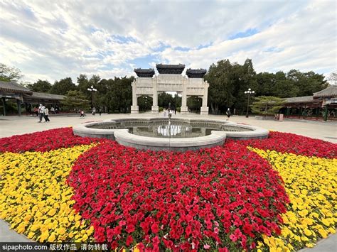 中山公园立体花坛花团锦簇格外美丽