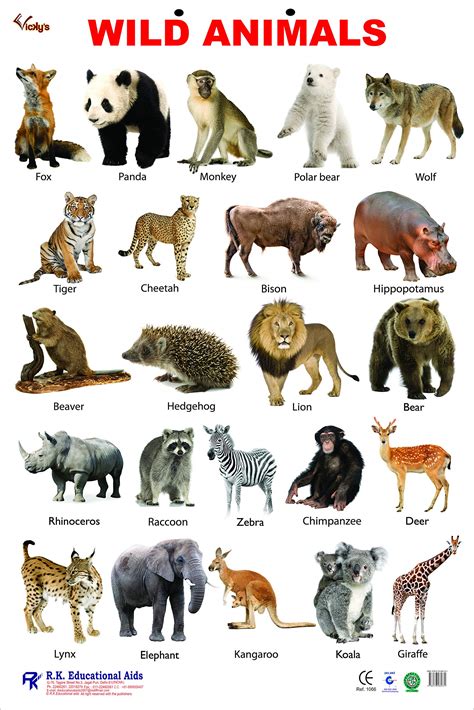 All Wild Animals Chart