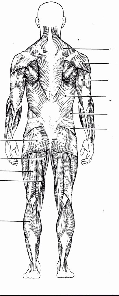 Back 的图像结果