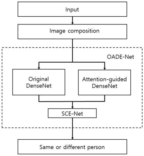 OADE-Net: Original and Attention-Guided DenseNet-Based Ensemble Network ...