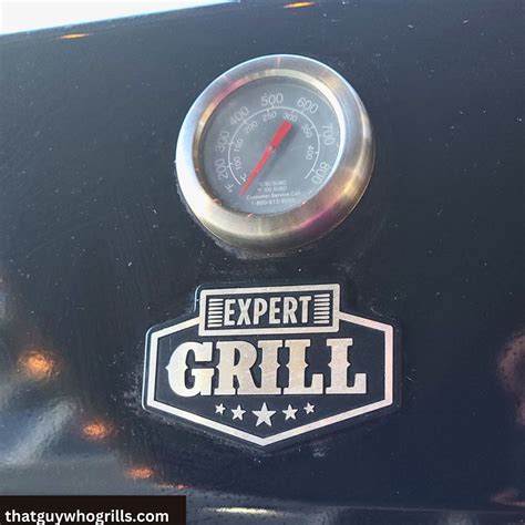 Walmart Expert Grill Buying Guide - That Guy Who Grills