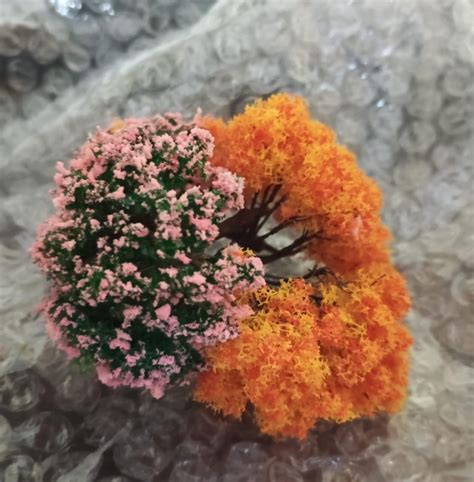 cherry blossom – Plant Orbit