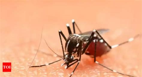 Centre convenes high-level meeting on Serotype-2 dengue cases in 11 ...