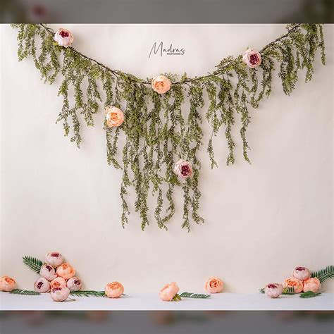 Venus - Baby Printed Backdrop | Madras Prop Store