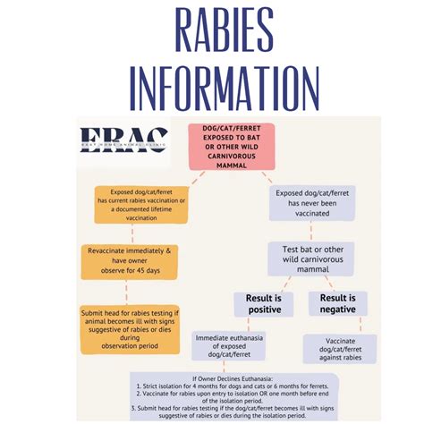 Rabies iNFORMATION