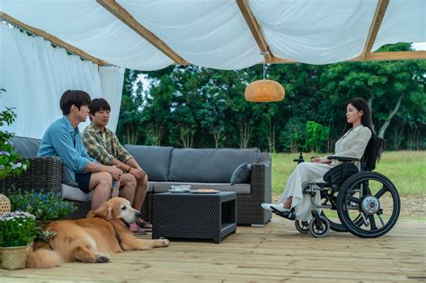 Review Film My Puppy / My Heart Puppy - Cinemags