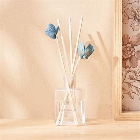 Amazon.in Bestsellers: The most popular items in Reed Diffuser Sets