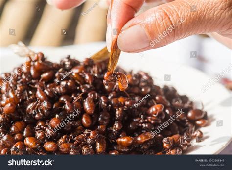 Underground Insects Images: Browse 3,272 Stock Photos & Vectors Free ...