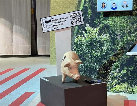 Tierhaltungskennzeichnung: Lidl und Kaufland unterstützen Özdemir ...