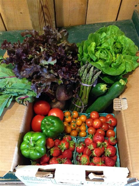 CSA Community Supported Agriculture 的图像结果