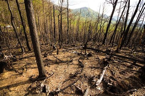 More droughts brought on by climate change could worsen wildfires in US ...