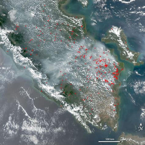 Az El Niño és a pálmaolaj táplálja Indonézia tüzeit