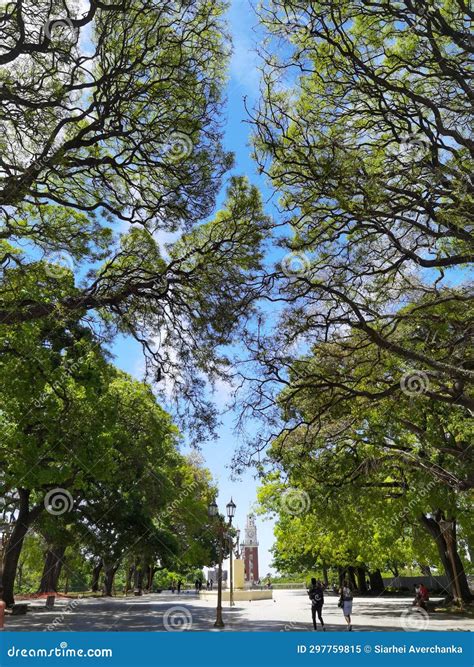 Parque General San Martín, with the English Tower Visible in the ...