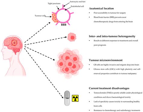 Glioblastoma Tumor Prognosis