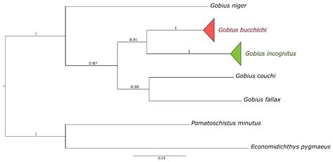 Cytochrome b Sequencing as a Tool for Identification of Morphologically ...
