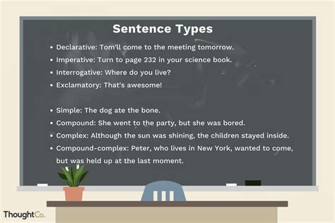 Image result for Interrogative Sentence Types