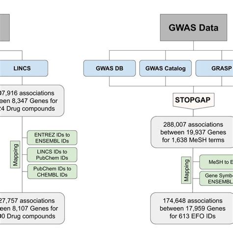 Deep Learning Workflow Data Acqusition Preprocessing 的图像结果