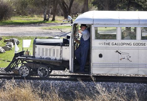 Photos/video: Galloping along - The Journal