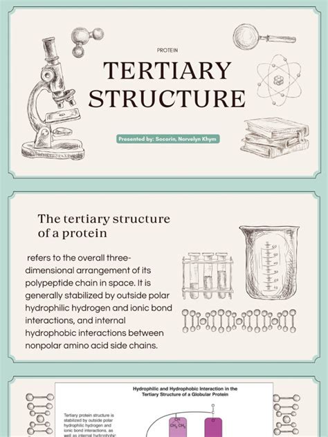 Tertiary Structure of Protein | PDF