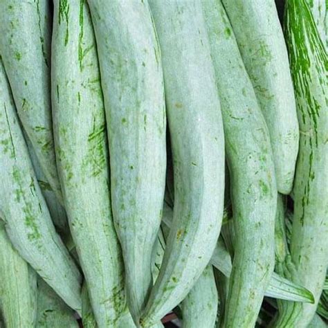 Buy Snake Gourd Chachinda - Desi Vegetable Seeds online from ...