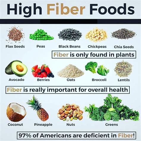How To Get Fiber In High Protein Diet at Jett Embling blog