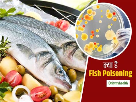 Fish Poisoning And Its Symptoms Know Different Types Of Healthy Fish To ...