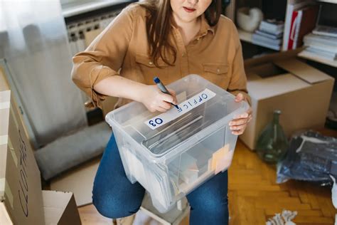 LABELING 的图像结果