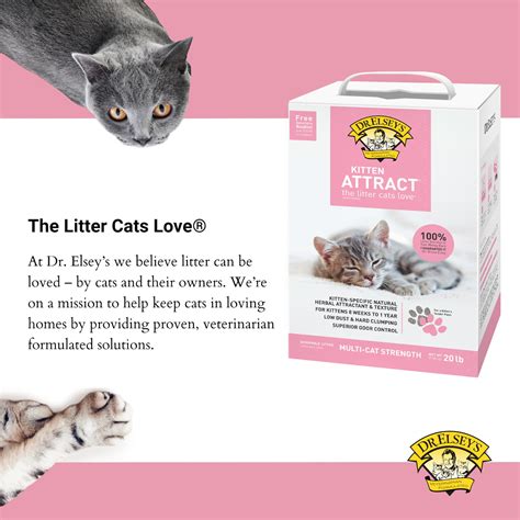 Dr. Elsey's Precious Cat Attract Cat Litter, 20-lb box | Global Pet Foods