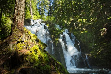 Prospect Oregon Map 的图像结果