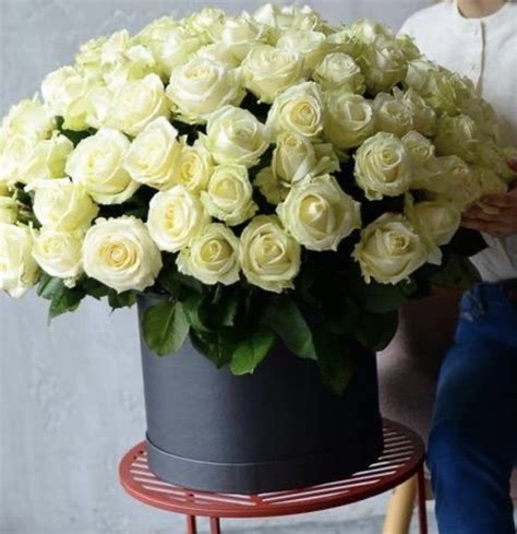 Luxury White Rose Bouquet | Elegant Pure Rose Arrangement