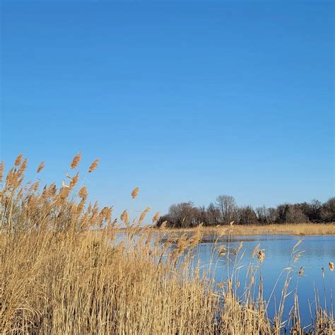 PORT PENN WETLANDS TRAIL (2024) All You Need to Know BEFORE You Go ...