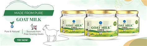 Buy Camel Milk: Pure & Natural Source of Nutrition - Aadvik Foods