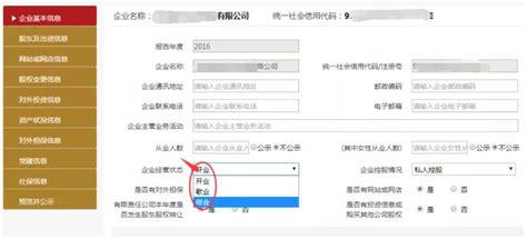 海南企业工商年报网上申报流程入口_海南领峰财务