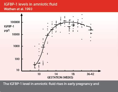 Actim Prom well established