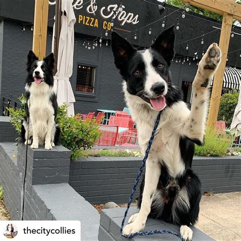 Fire & Hops Pizza Co.