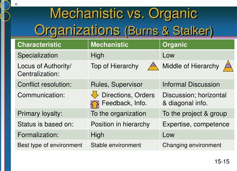 PPT - Managing Organizational Structure PowerPoint Presentation, free download - ID:301762