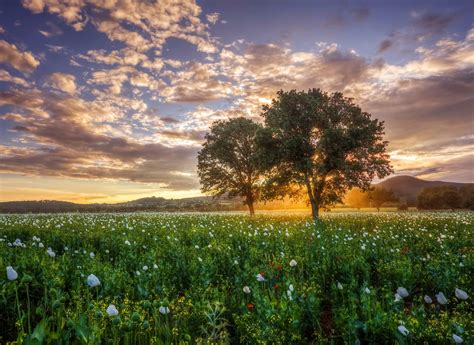 Landscape Magazine Stock Photos, Images and Backgrounds for Free Download