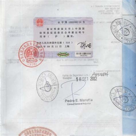 阿根廷产地证、发票、出口声明、报关单使馆认证