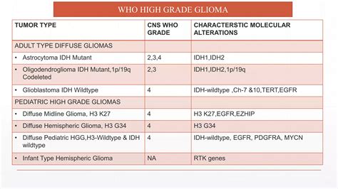 high grade glioma | PPTX