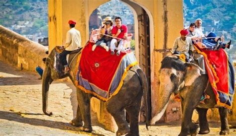 Modern Maharajas: PETA To Replace Cruel Elephant Rides For Electric ...